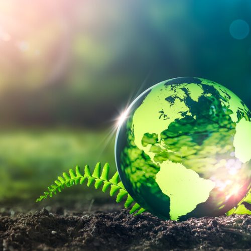 22.04.2021 – ДЕНЯТ НА ЗЕМЯТА